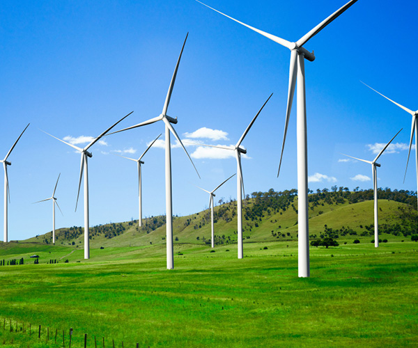 Wind Plant
